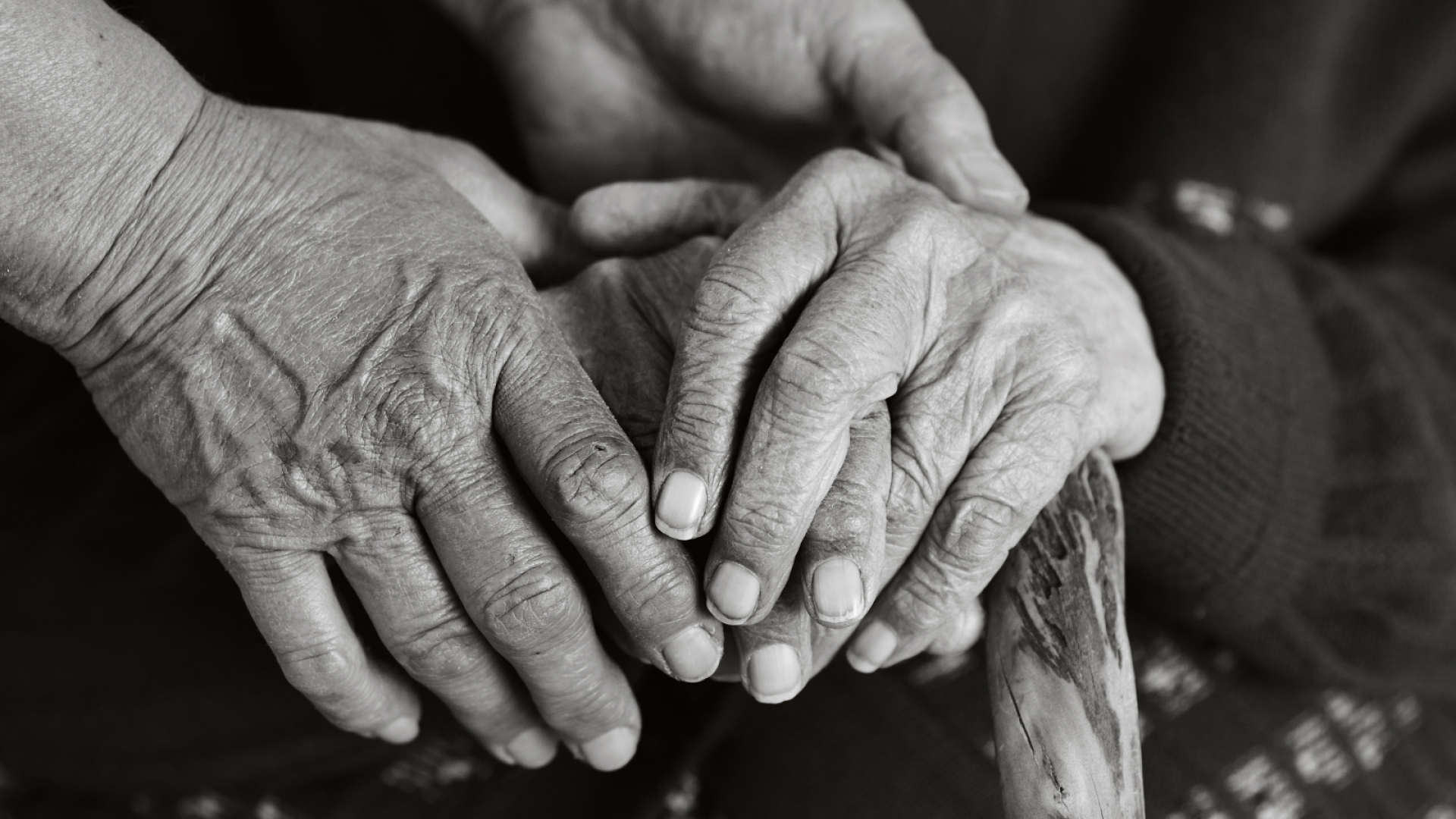 Black and white photo of three or four hands overlapping on a wooden cane.