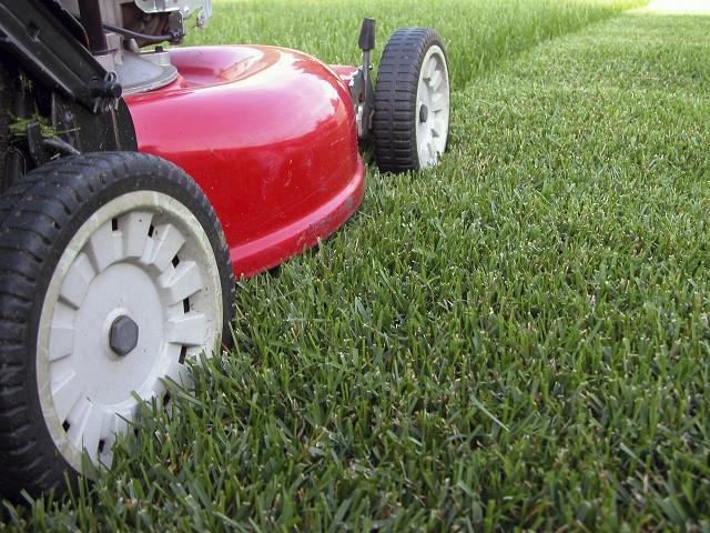 Close-up shot of a lawn mower cutting grass