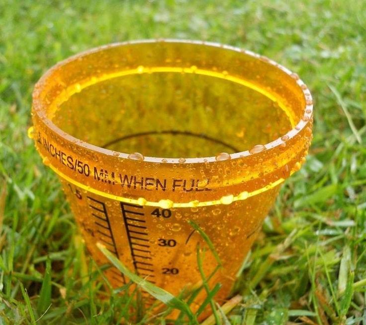 Close-up shot of a rain gauge in the grass.